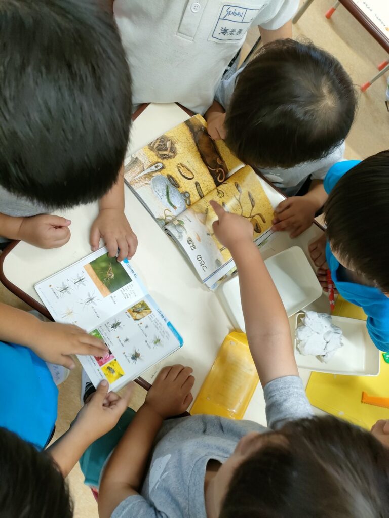 図鑑を囲んで、みんなでダンゴムシのページをのぞき込む(うめ組・3歳児クラス)