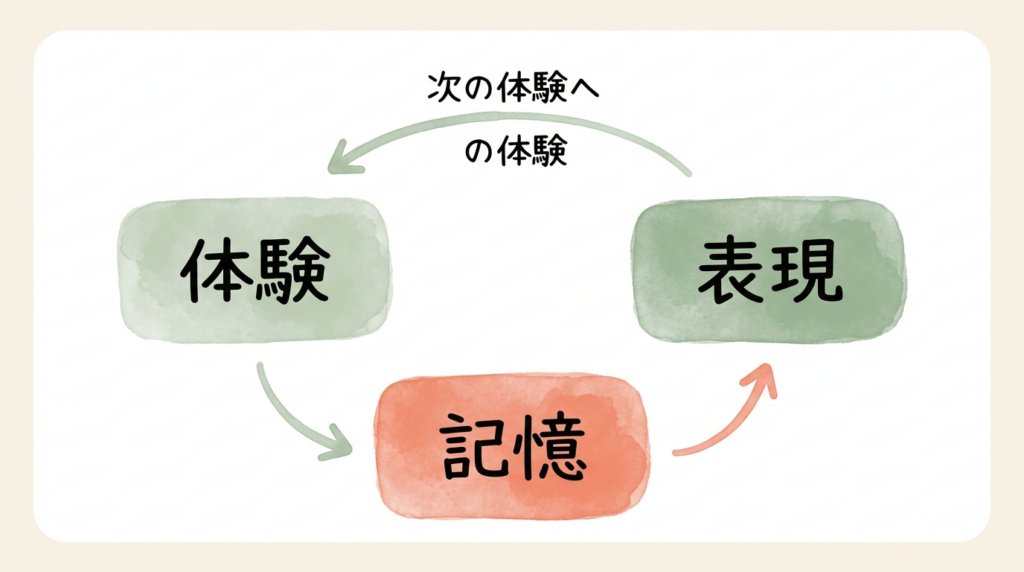 体験が記憶になり、表現になって、また次の体験へ — 子どもの中でめぐる学びの輪
