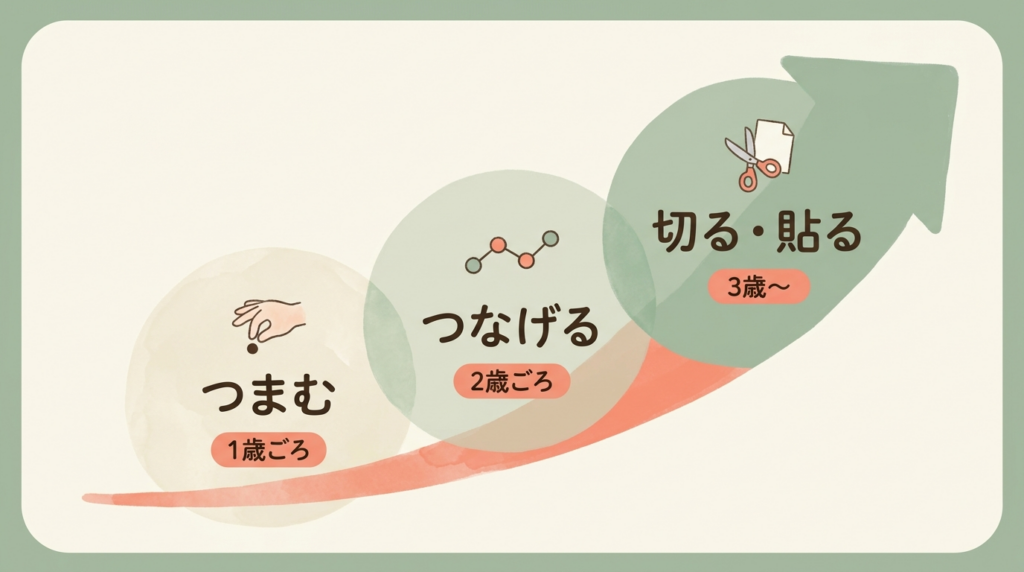 つまむ→つなげる→切る・貼る。年齢が上がるにつれ、指先の育ちがやわらかく積み重なっていく