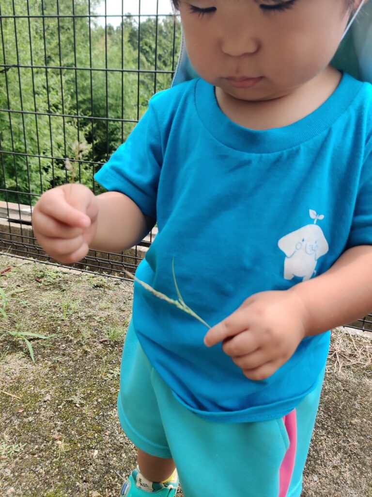 宝物みたいに、そっと握りしめた一枚の葉っぱ(すみれ組・1歳児クラス)